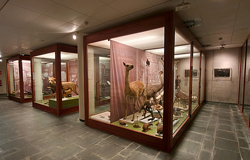 Museu Darder - Banyoles